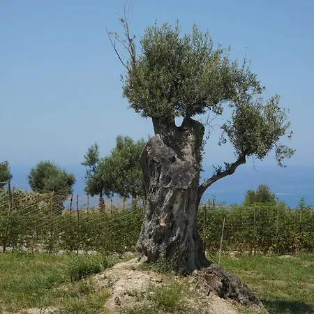 Βίλα Jatu Retreat