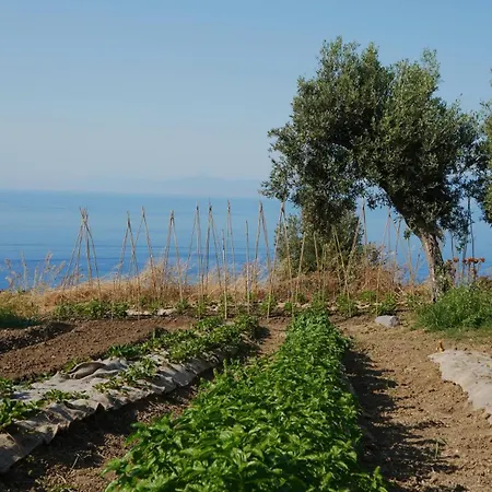 Villa Jatu Retreat San Costantino