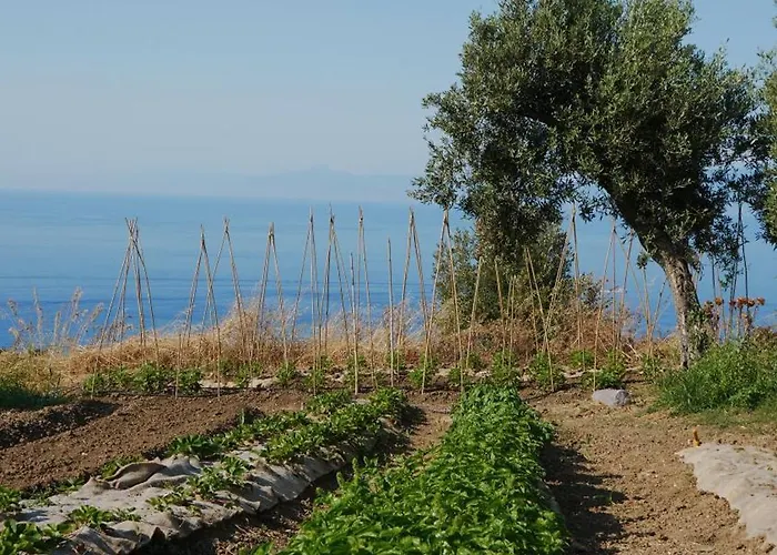 Villa Jatu Retreat San Costantino